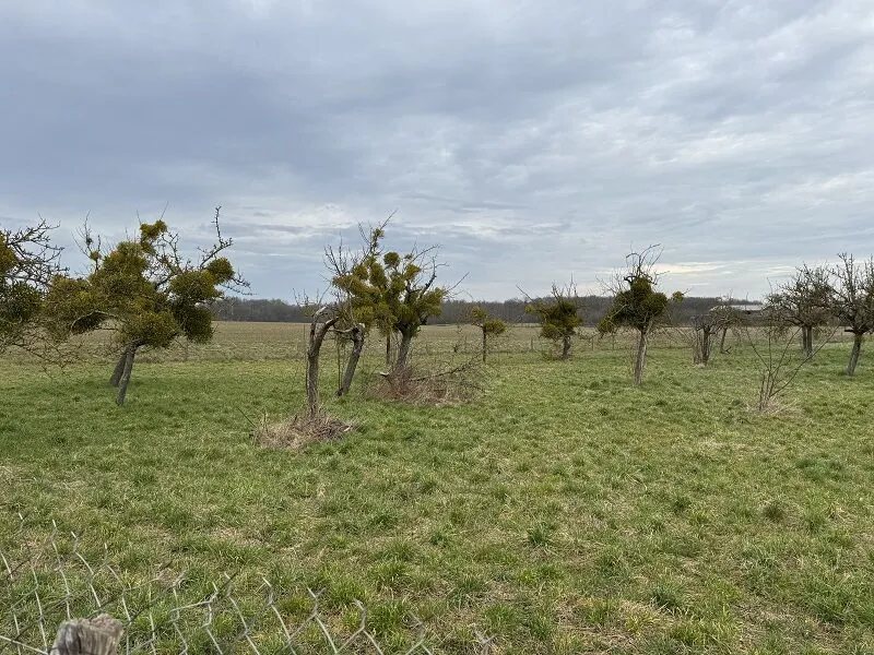 Terrain à bâtir de 464 m² à Houdan, proche des commodités, environnement calme 