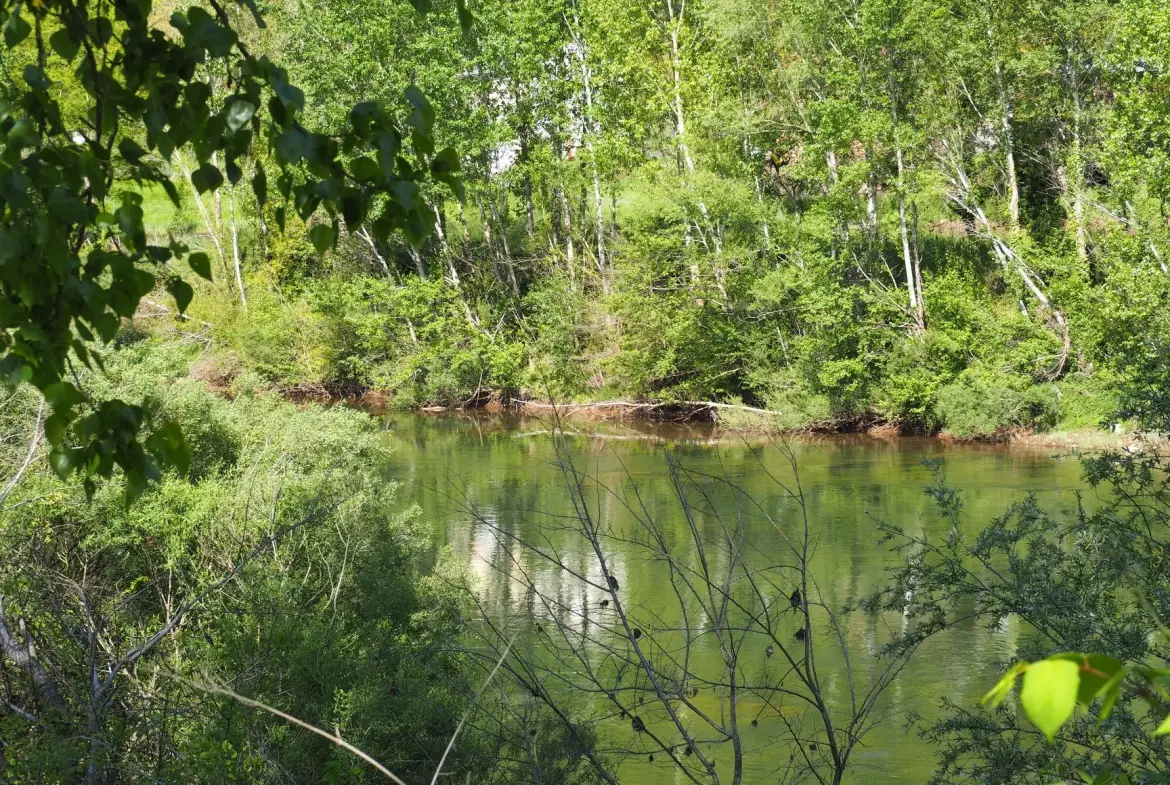 Charmante maison au bord du Tarn à Ambialet - Résidence secondaire ou gîte 