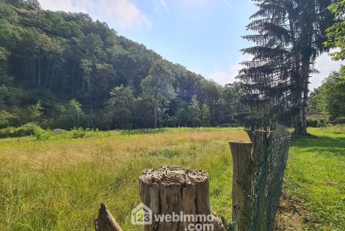 Belle propriété à Montaut avec vue sur les Pyrénées, grand terrain et potentiel de rénovation 