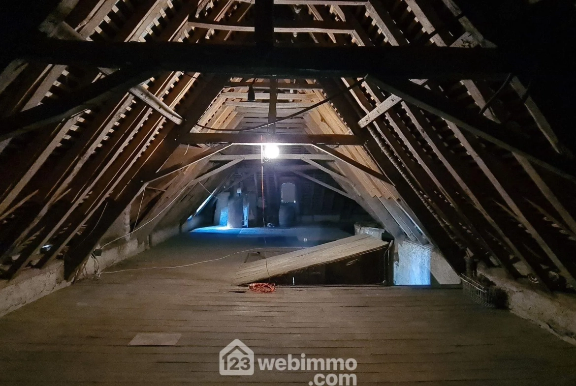 Belle propriété à Montaut avec vue sur les Pyrénées, grand terrain et potentiel de rénovation 