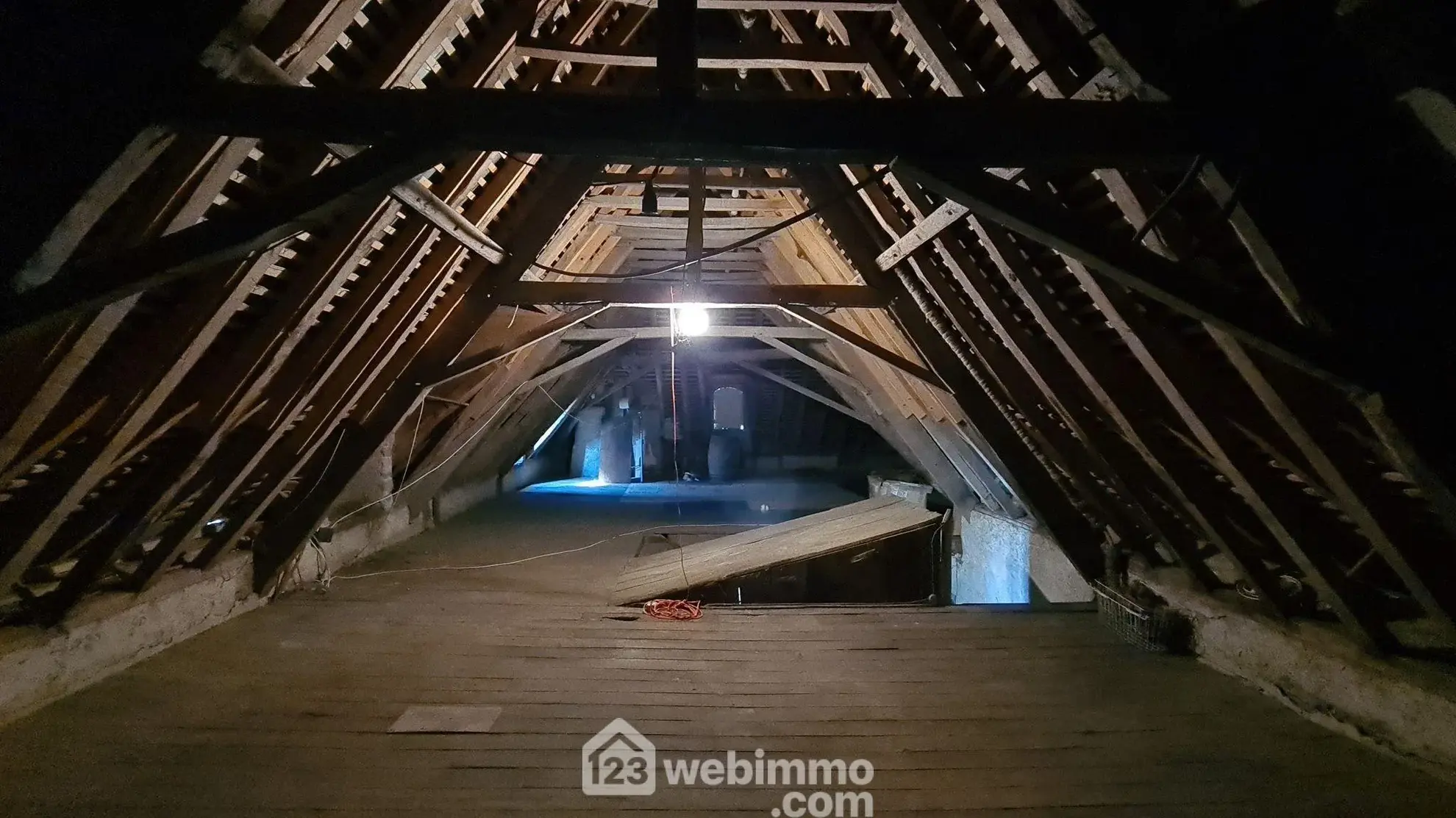 Belle propriété à Montaut avec vue sur les Pyrénées, grand terrain et potentiel de rénovation 