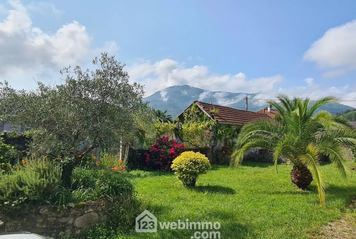 Belle propriété à Montaut avec vue sur les Pyrénées, grand terrain et potentiel de rénovation 