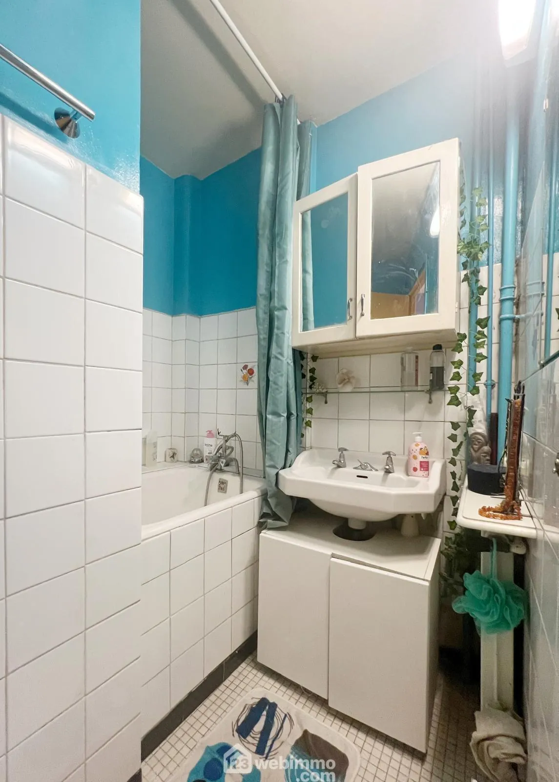 Splendide appartement de 60 m² avec cave au Plessis-Robinson 