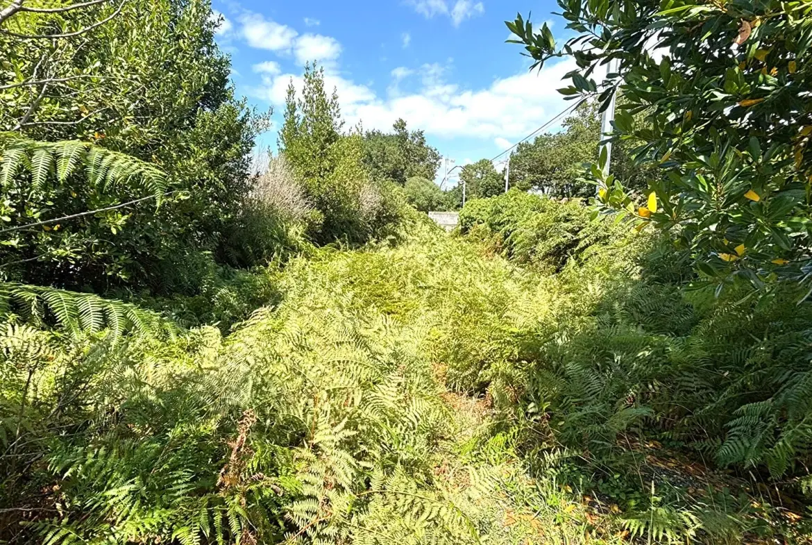 Terrain constructible de 242 m² à Labenne avec emprise de 35 % 