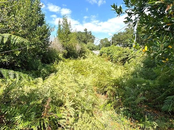 Terrain constructible de 242 m² à Labenne avec emprise de 35 %