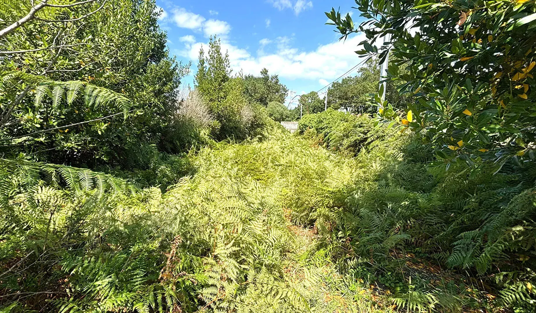 Terrain constructible de 242 m² à Labenne avec emprise de 35 % 