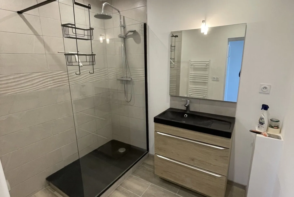 Appartement T3 rénové avec vue sur le Lac d'Allier à Vichy 