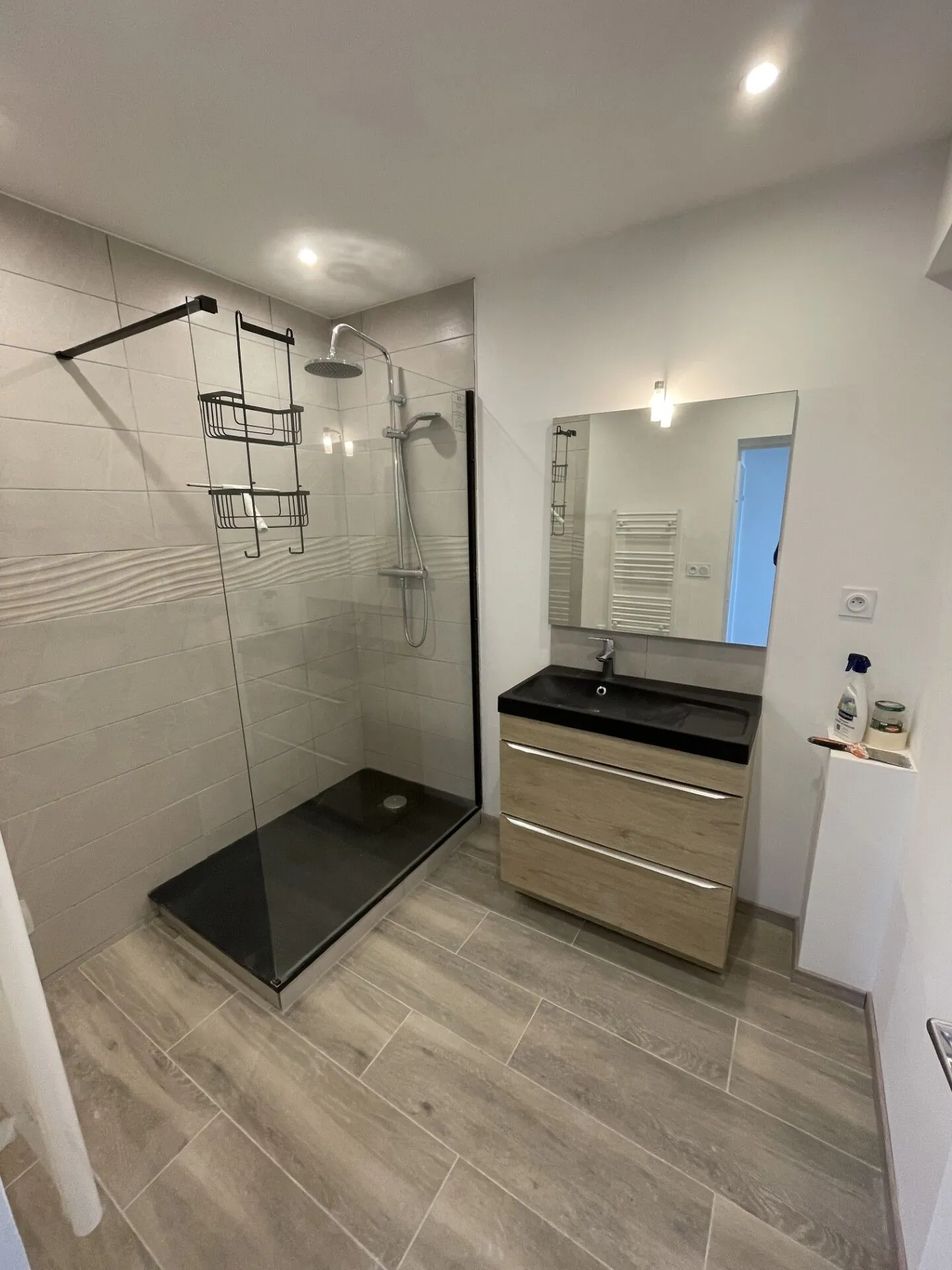 Appartement T3 rénové avec vue sur le Lac d'Allier à Vichy 