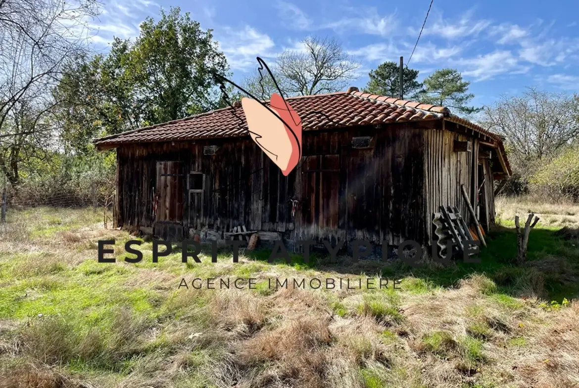 Maison authentique à rénover avec grand airial en Landes à Solférino 