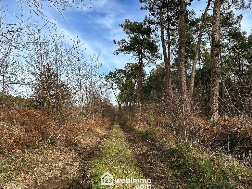 Terrains viabilisés à vendre à Mazé-Milon, idéal pour construire votre maison 