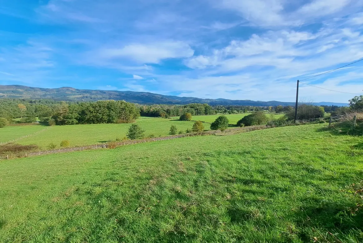 Terrain constructible de 1470 m² à Ambert avec vue sur les Monts du Forez 