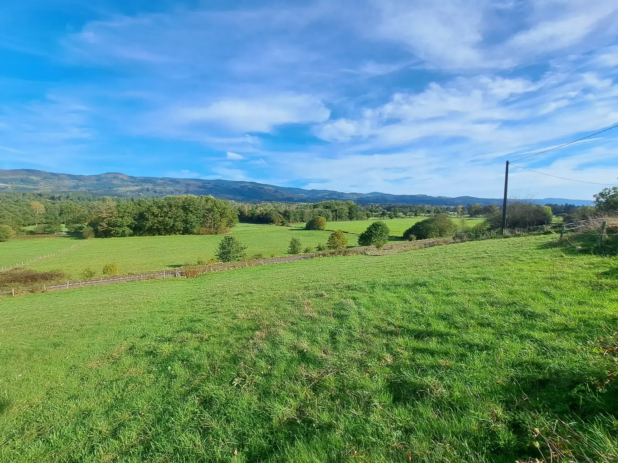 Terrain constructible de 1470 m² à Ambert avec vue sur les Monts du Forez 