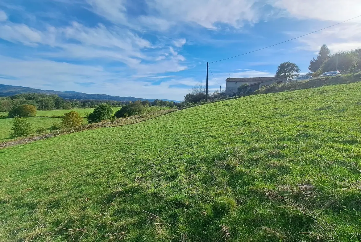 Terrain constructible de 1470 m² à Ambert avec vue sur les Monts du Forez 