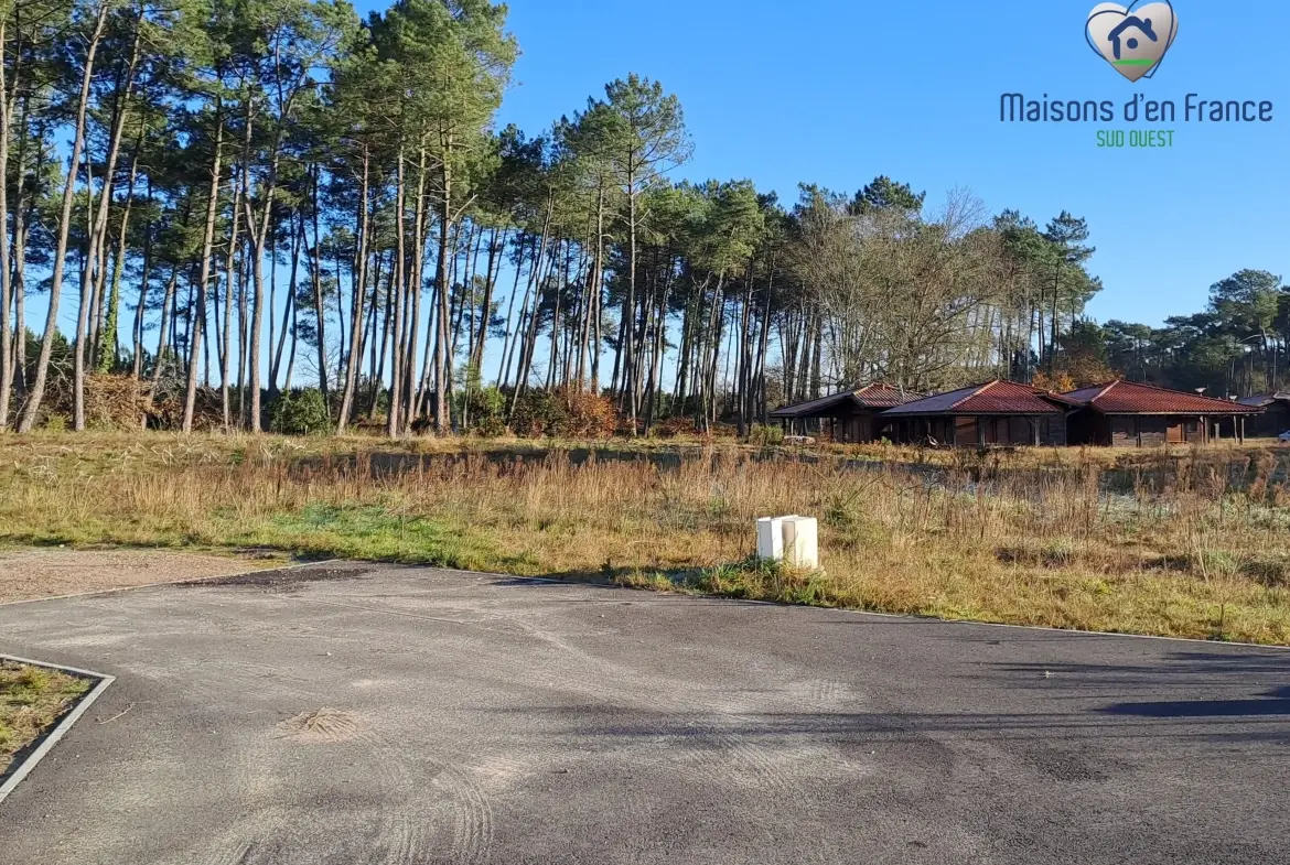 Terrain de 649 m² viabilisé à Pissos, proche Bordeaux et plages océanes 