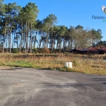 Terrain de 649 m² viabilisé à Pissos, proche Bordeaux et plages océanes