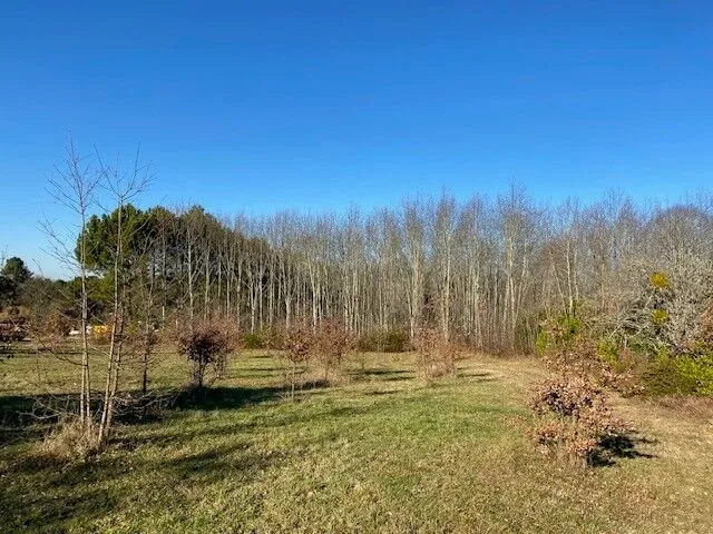 Terrain à bâtir entre Coursac et Notre-Dame-de-Sanilhac de 1450 m² 