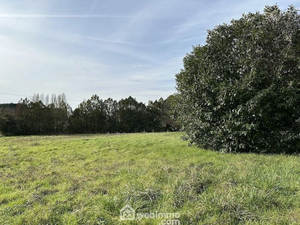Terrain constructible de 2000 m² à Mazé-Milon proche Angers-Saumur 