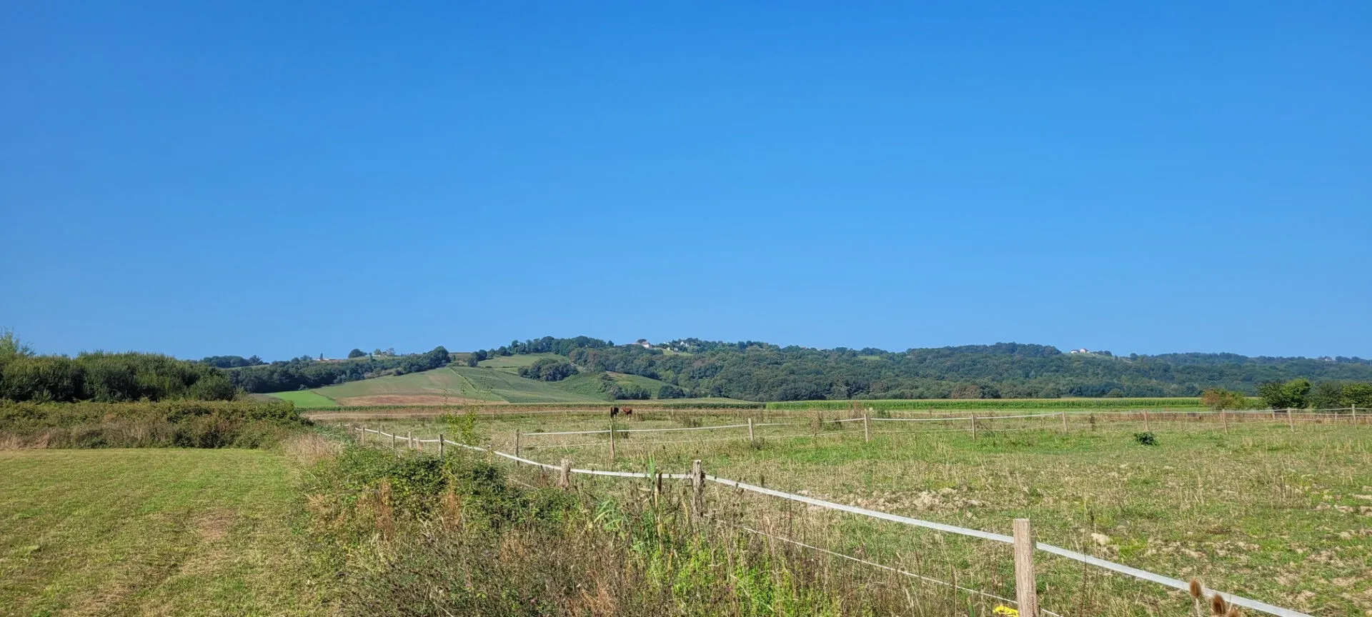 Terrain constructible de 1408 m² à Maslacq, idéal pour projets résidentiels 