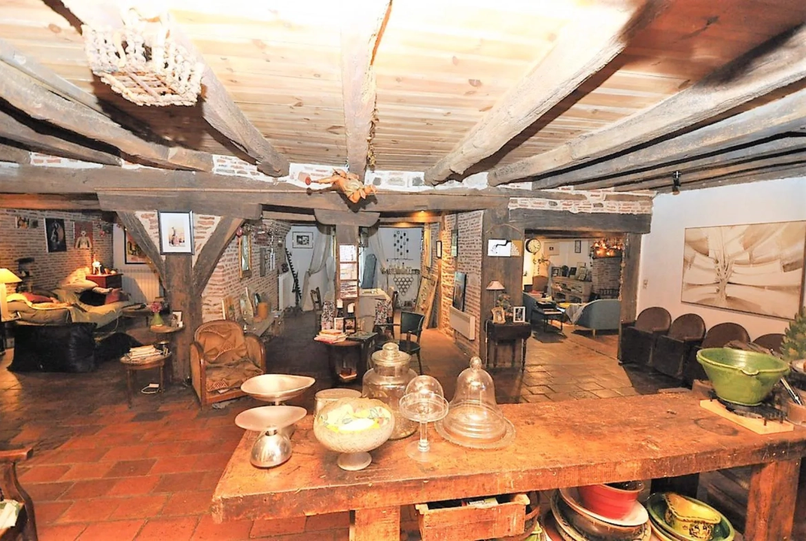 Magnifique maison de village du XVIe siècle à Gaillac avec terrasse et potentiel hôtel ou famille 
