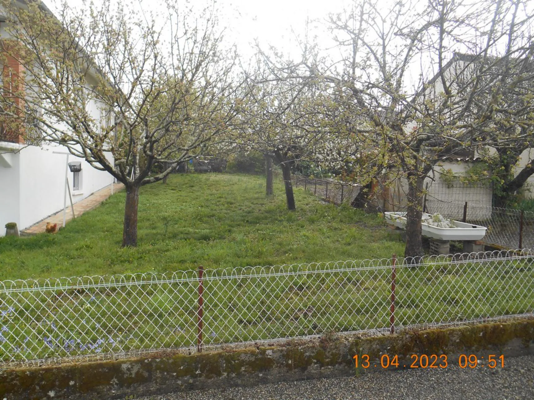 Maison de village avec terrain arboré à Gaillac – proche commodités 