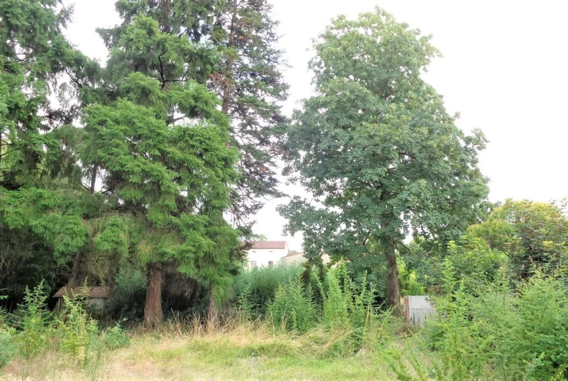 Terrain constructible à Graulhet - 693 m² en secteur résidentiel et boisé 