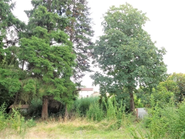 Terrain constructible à Graulhet - 693 m² en secteur résidentiel et boisé