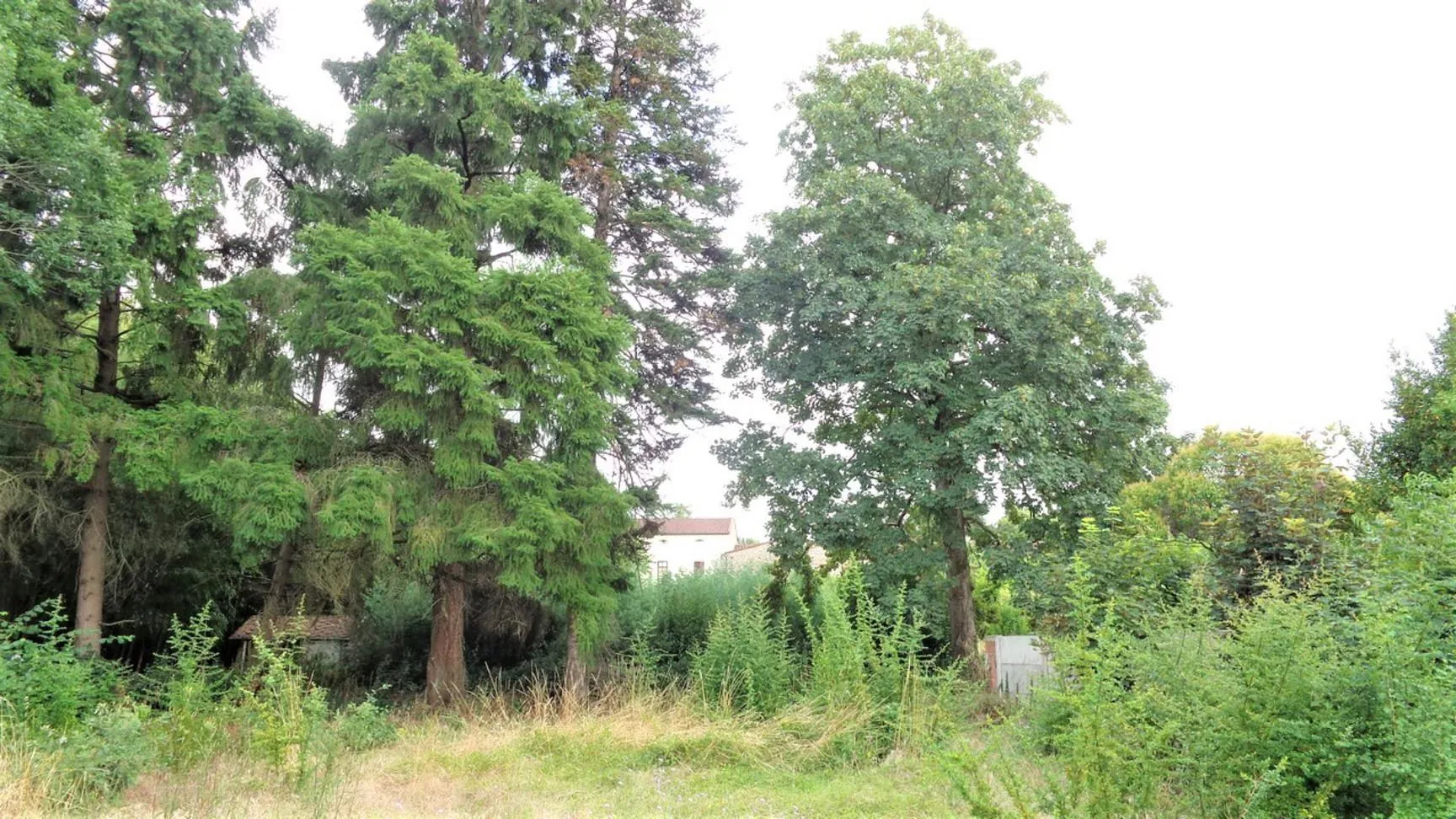 Terrain constructible à Graulhet - 693 m² en secteur résidentiel et boisé 