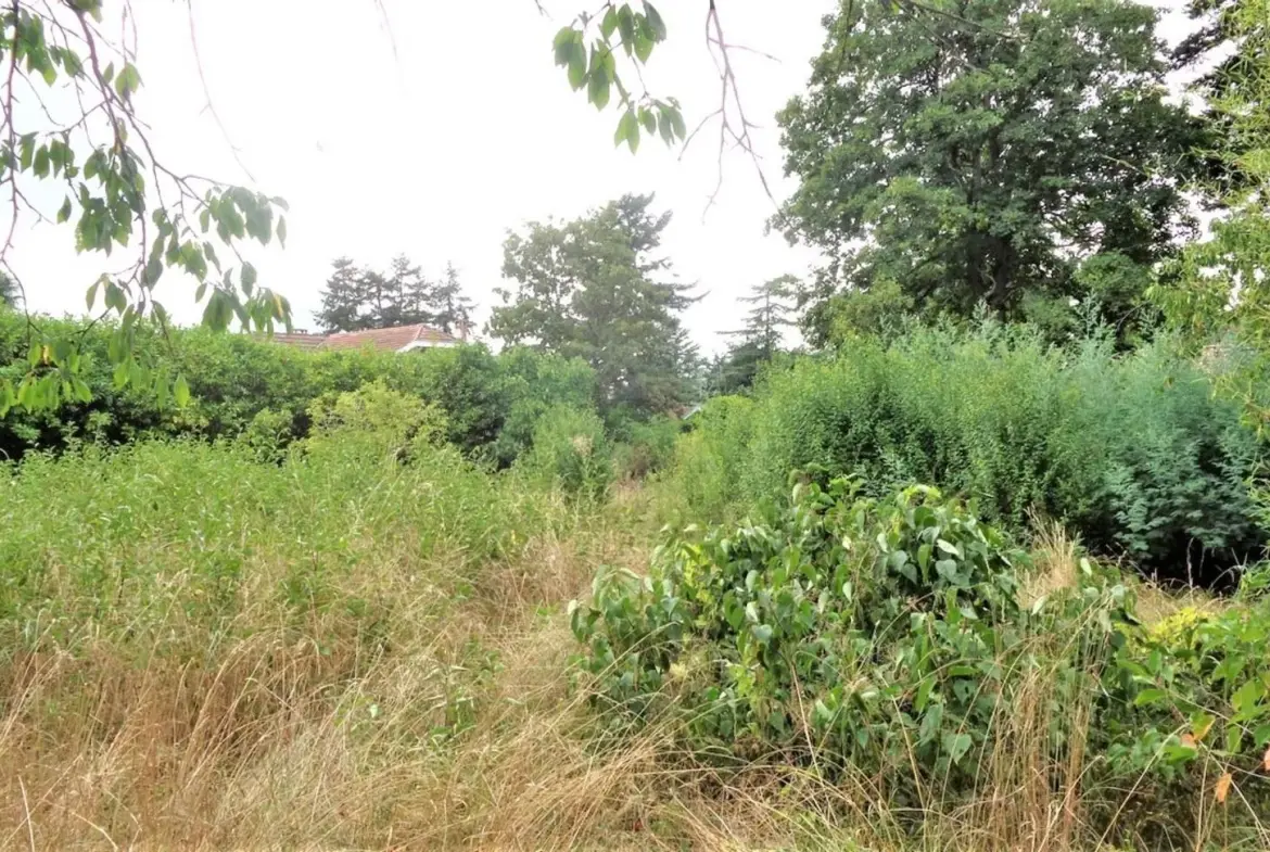 Terrain constructible à Graulhet - 693 m² en secteur résidentiel et boisé 