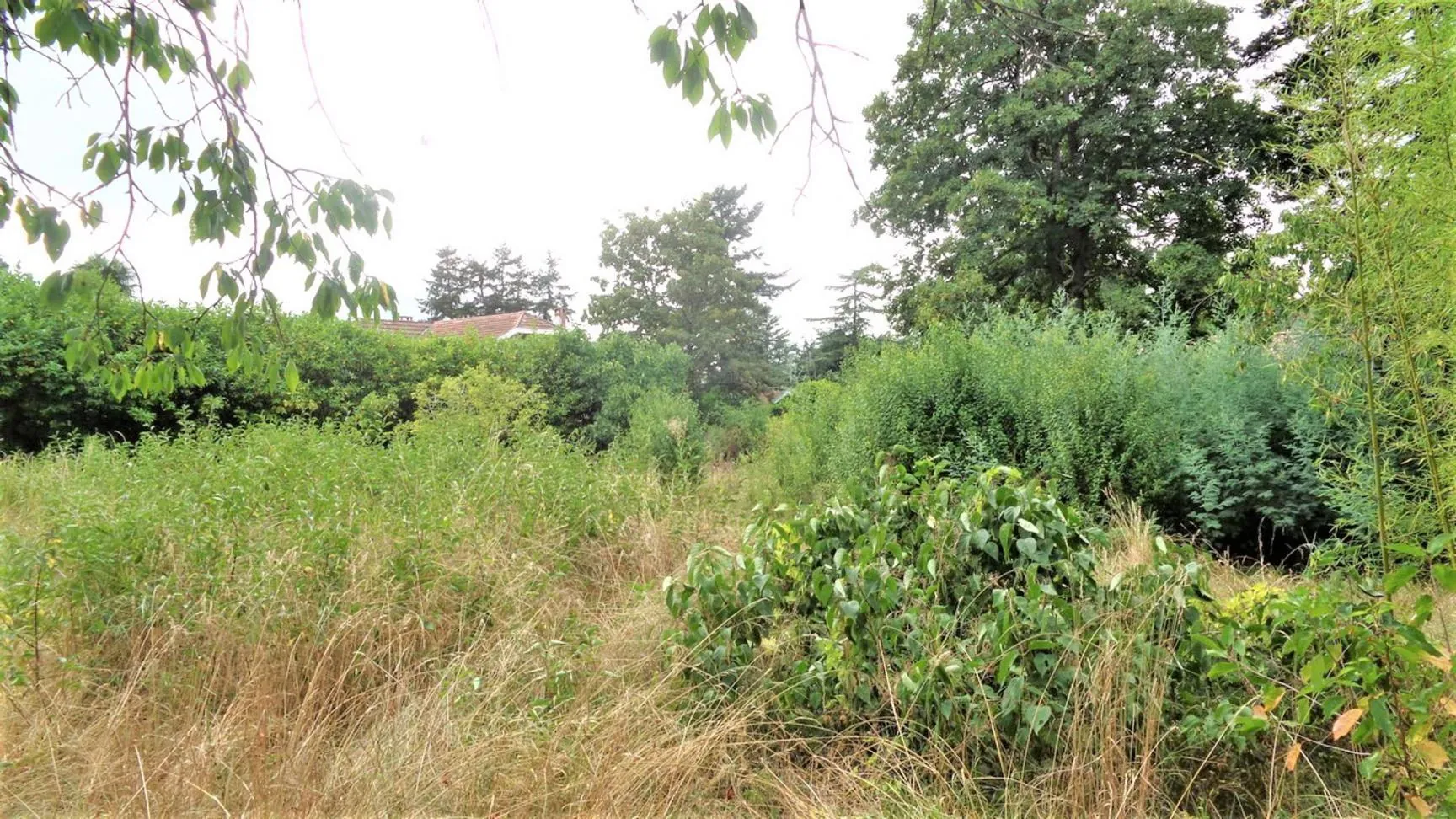 Terrain constructible à Graulhet - 693 m² en secteur résidentiel et boisé 