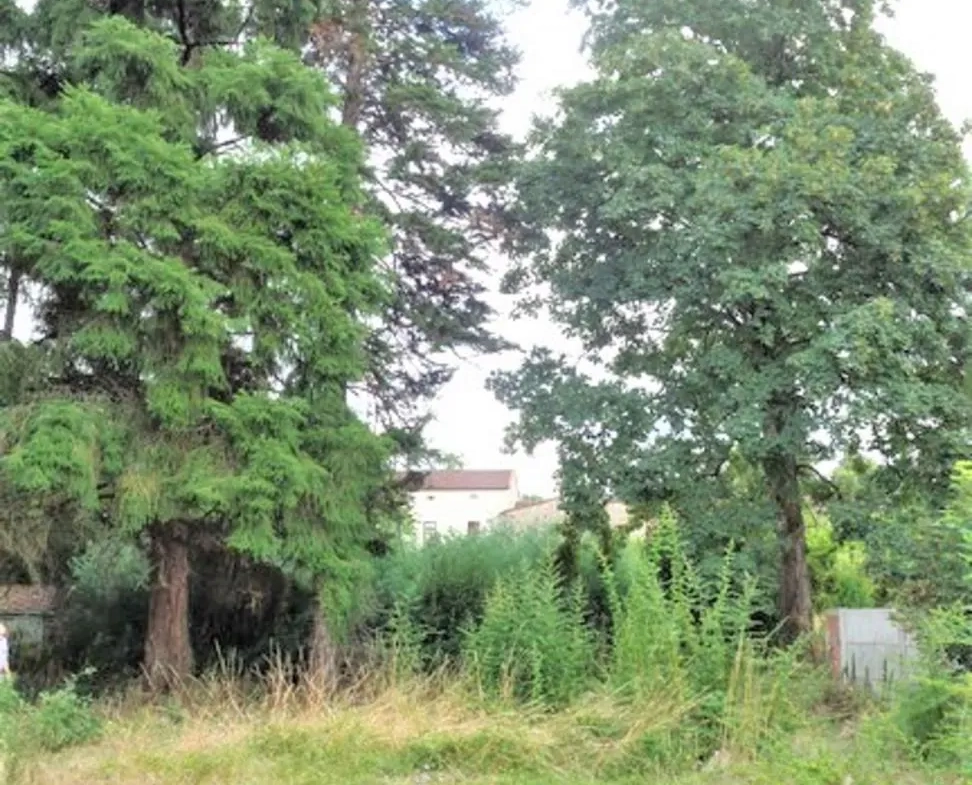Terrain constructible à Graulhet - 693 m² en secteur résidentiel et boisé 