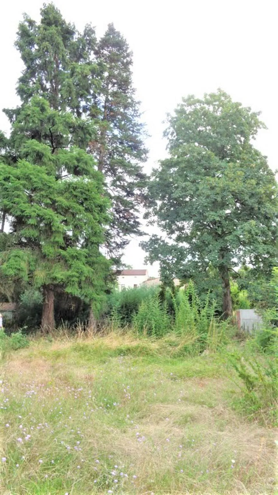 Terrain constructible à Graulhet - 693 m² en secteur résidentiel et boisé 