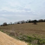 Grand terrain agricole à vendre à Saint Hilaire d'Ozilhan - Idéal pour pâturages ou oliviers