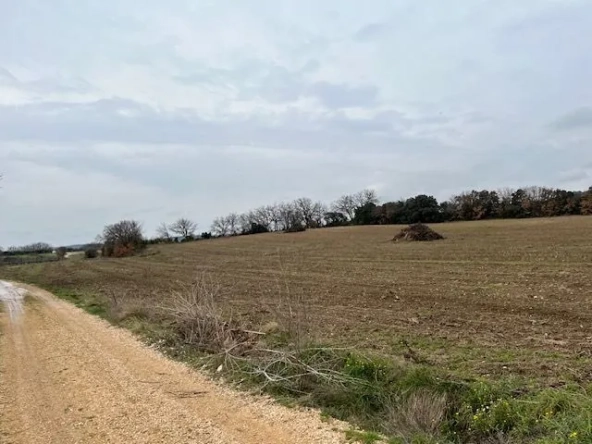 Grand terrain agricole à vendre à Saint Hilaire d'Ozilhan - Idéal pour pâturages ou oliviers