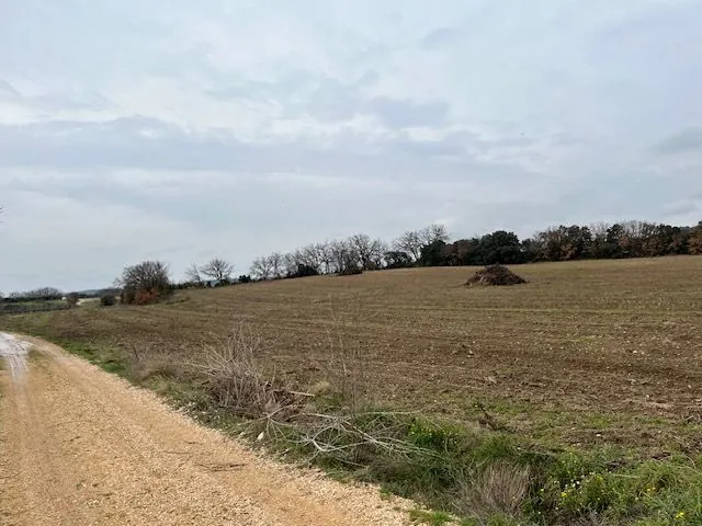 Grand terrain agricole à vendre à Saint Hilaire d'Ozilhan - Idéal pour pâturages ou oliviers 