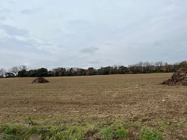 Grand terrain agricole à vendre à Saint Hilaire d'Ozilhan - Idéal pour pâturages ou oliviers 