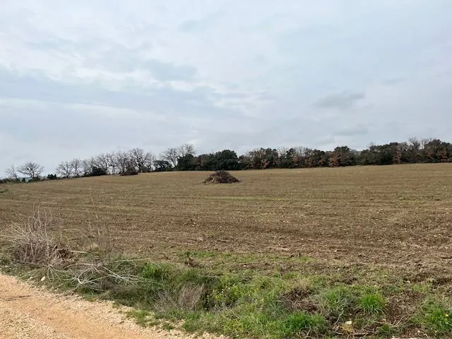 Grand terrain agricole à vendre à Saint Hilaire d'Ozilhan - Idéal pour pâturages ou oliviers 