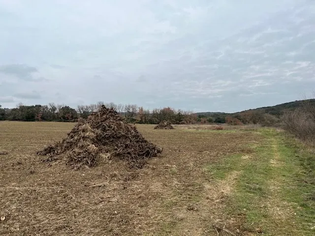 Grand terrain agricole à vendre à Saint Hilaire d'Ozilhan - Idéal pour pâturages ou oliviers 