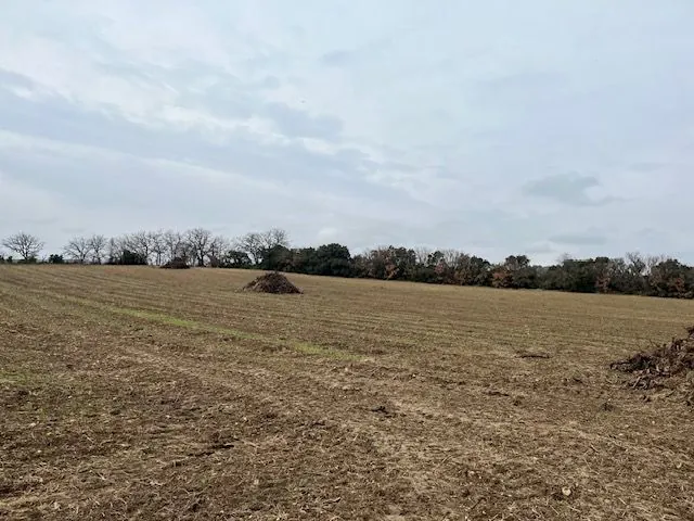 Grand terrain agricole à vendre à Saint Hilaire d'Ozilhan - Idéal pour pâturages ou oliviers 