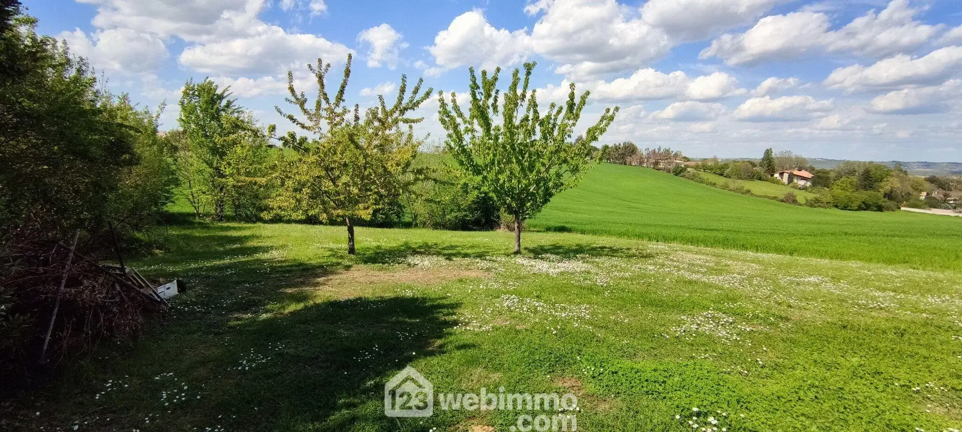 À vendre en viager occupé une maison de 155 m² à Auvillar (82) avec terrasse et garage 