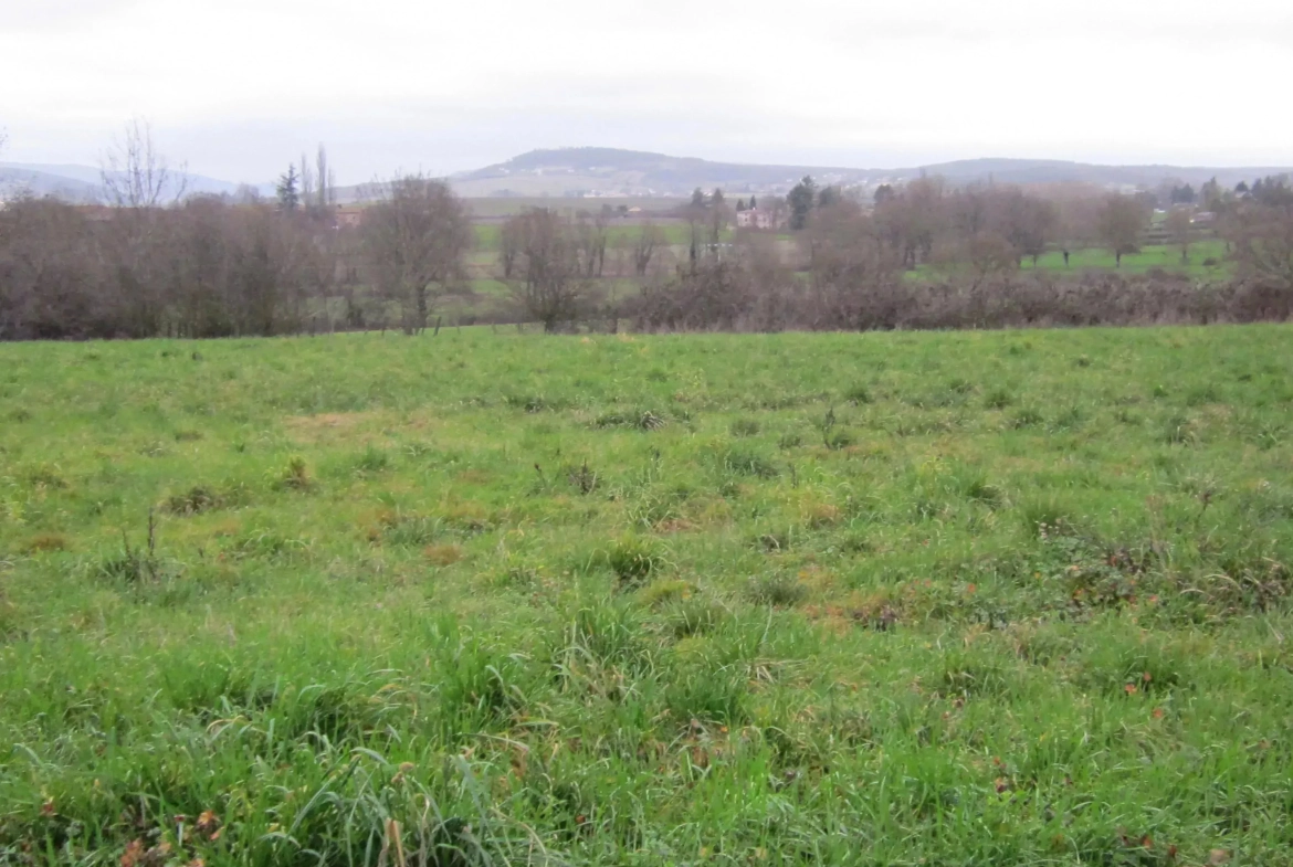 Villa moderne à Laiz sur un terrain de 650 m² – Construction sur mesure 