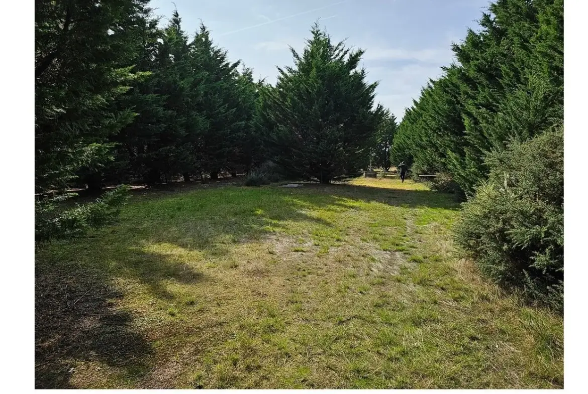 Terrain de 1500 m² à Préfailles près de la mer à vendre pour 28 750 € 
