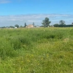 Terrain constructible à Gontaud-de-Nogaret de 779 m² en lotissement calme