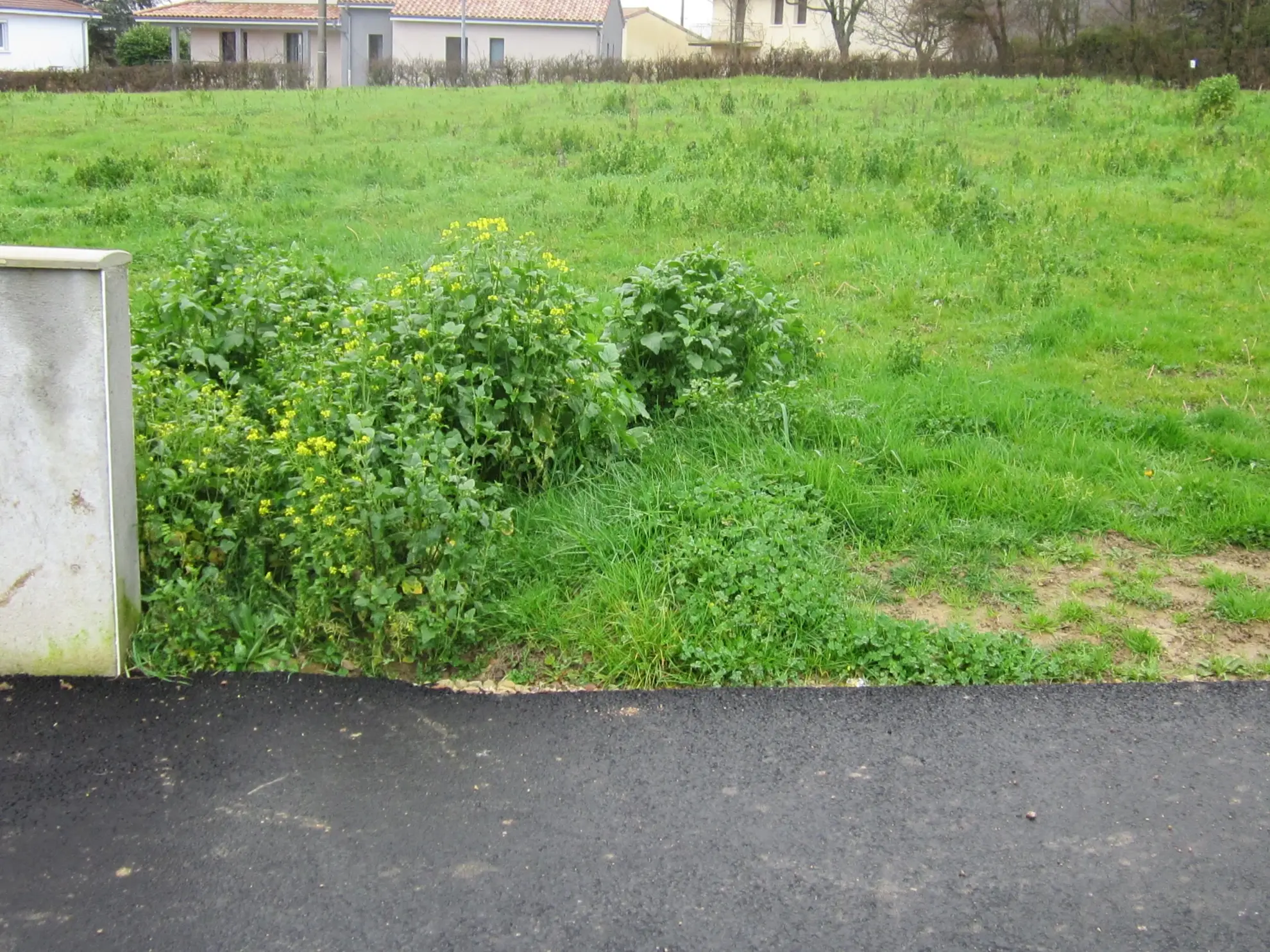 Maison neuve moderne de 92 m² à Sance sur terrain de 700 m² – Qualité et personnalisation 