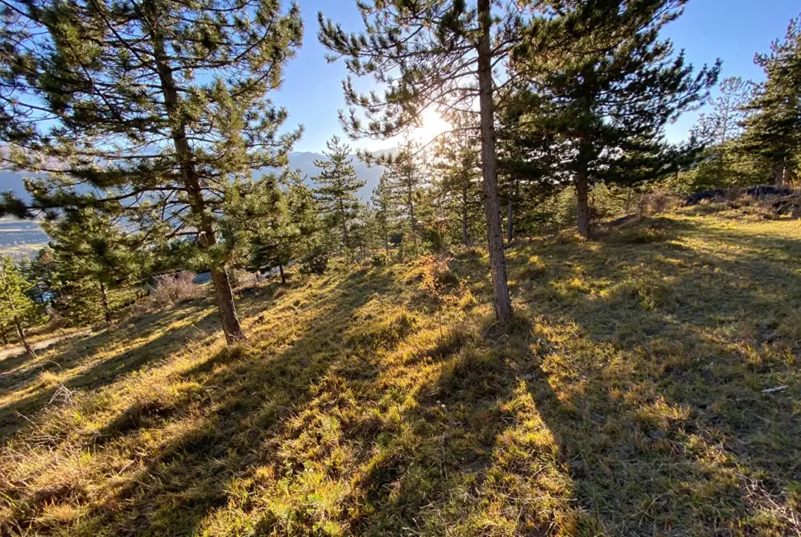 Terrains viabilisés à Embrun proche du lac et des commodités 
