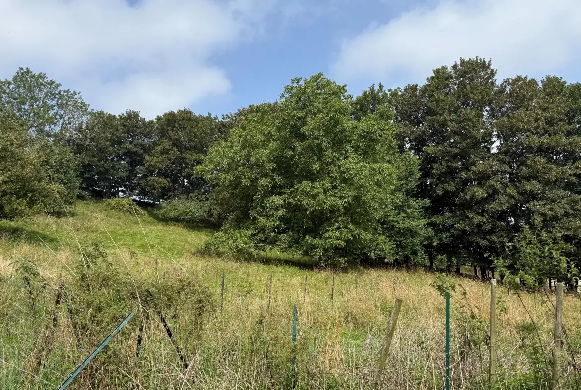Terrain de loisir de 3926 m² à Fécamp à 900 m de la mer, idéal détente 