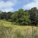 Terrain de loisir de 3926 m² à Fécamp à 900 m de la mer, idéal détente