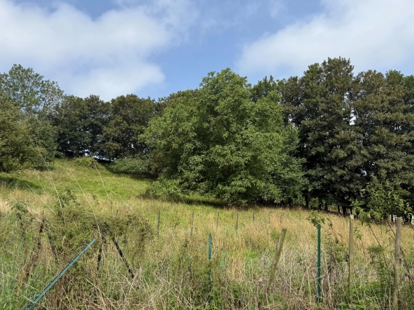 Terrain de loisir de 3926 m² à Fécamp à 900 m de la mer, idéal détente