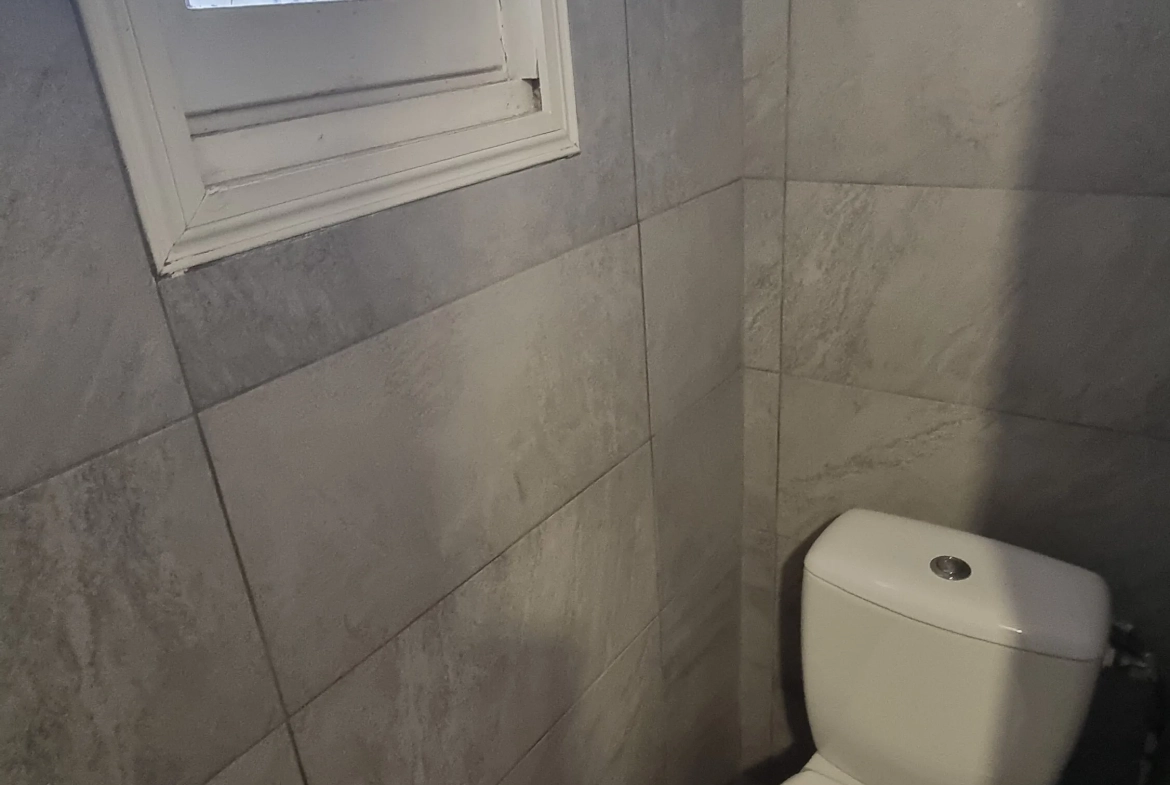 Maison à vendre à Roanne rue Hoche, 3 pièces, louée, avec terrasse et cave 