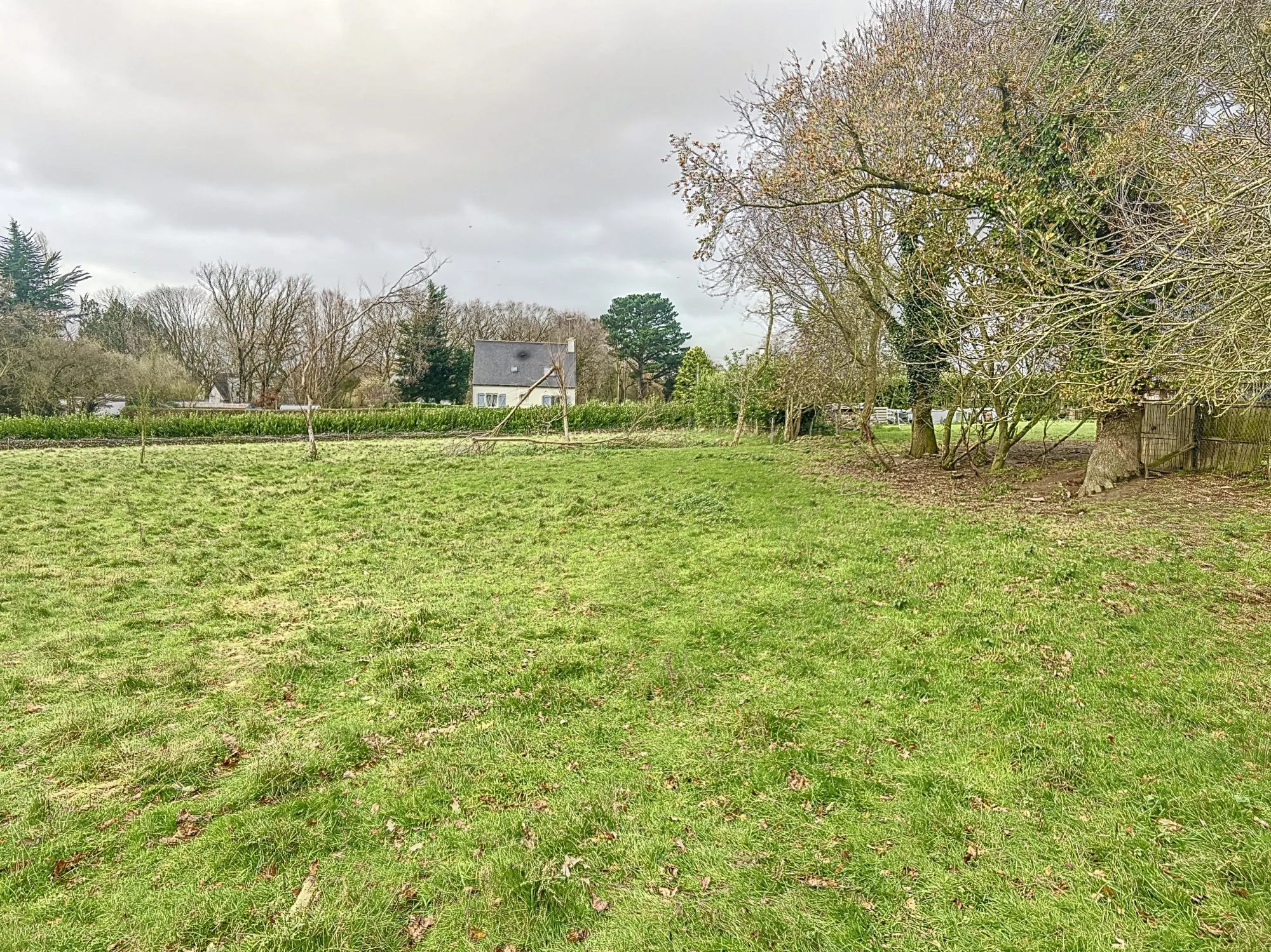 Terrain constructible de 997 m² à Plélo, proche RN12 - Libre de constructeur 