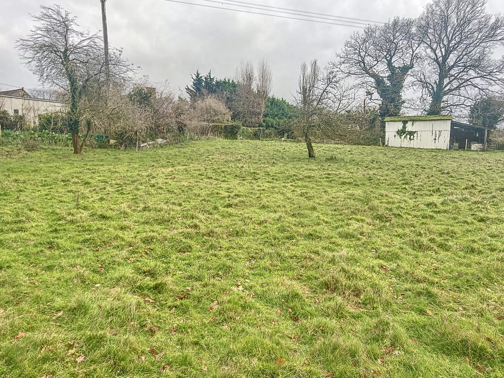 Terrain constructible de 997 m² à Plélo, proche RN12 - Libre de constructeur 